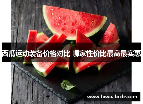 西瓜运动装备价格对比 哪家性价比最高最实惠