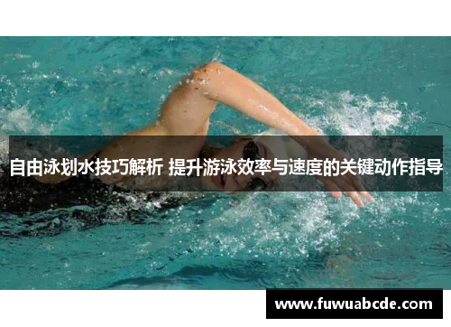 自由泳划水技巧解析 提升游泳效率与速度的关键动作指导